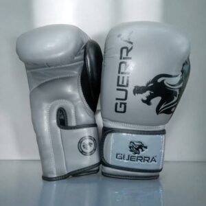 Boxing gloves